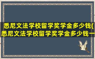 悉尼文法学校留学奖学金多少钱(悉尼文法学校留学奖学金多少钱一个月)