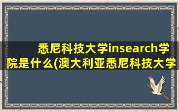 悉尼科技大学insearch学院是什么(澳大利亚悉尼科技大学怎么样)