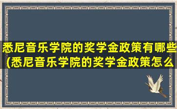 悉尼音乐学院的奖学金政策有哪些(悉尼音乐学院的奖学金政策怎么样)