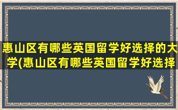 惠山区有哪些英国留学好选择的大学(惠山区有哪些英国留学好选择的地方)