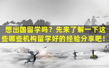 想出国留学吗？先来了解一下这些哪些机构留学好的经验分享吧！