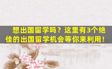 想出国留学吗？这里有3个绝佳的出国留学机会等你来利用！