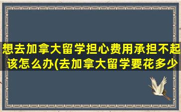 想去加拿大留学担心费用承担不起该怎么办(去加拿大留学要花多少钱)