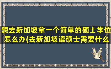 想去新加坡拿一个简单的硕士学位怎么办(去新加坡读硕士需要什么条件)