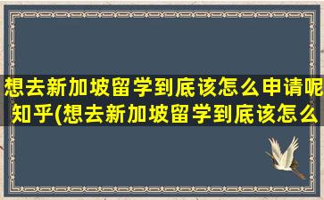 想去新加坡留学到底该怎么申请呢知乎(想去新加坡留学到底该怎么申请呢英文)