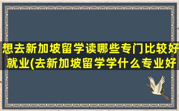 想去新加坡留学读哪些专门比较好就业(去新加坡留学学什么专业好)