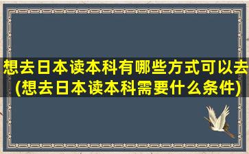 想去日本读本科有哪些方式可以去(想去日本读本科需要什么条件)