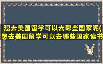 想去美国留学可以去哪些国家呢(想去美国留学可以去哪些国家读书)