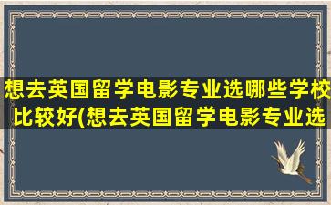 想去英国留学电影专业选哪些学校比较好(想去英国留学电影专业选哪些学校呢)