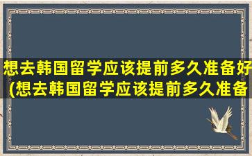 想去韩国留学应该提前多久准备好(想去韩国留学应该提前多久准备工作)