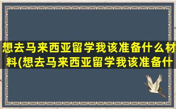 想去马来西亚留学我该准备什么材料(想去马来西亚留学我该准备什么资料)