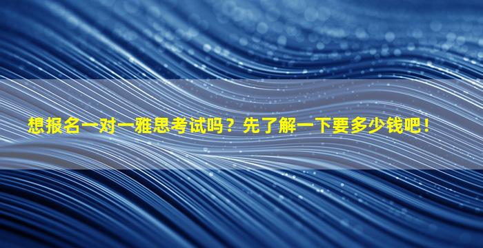 想报名一对一雅思考试吗？先了解一下要多少钱吧！