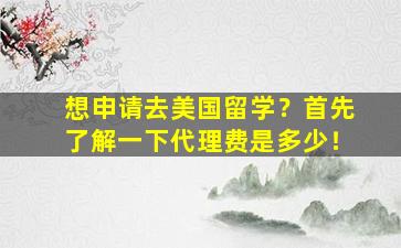 想申请去美国留学？首先了解一下代理费是多少！