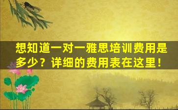 想知道一对一雅思培训费用是多少？详细的费用表在这里！