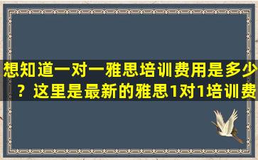 想知道一对一雅思培训费用是多少？这里是最新的雅思1对1培训费用报价