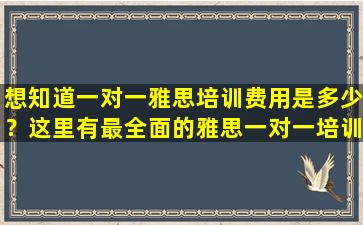 想知道一对一雅思培训费用是多少？这里有最全面的雅思一对一培训价格指南