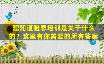 想知道雅思培训是关于什么的？这里有你需要的所有答案