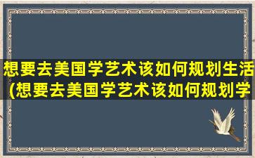 想要去美国学艺术该如何规划生活(想要去美国学艺术该如何规划学校)