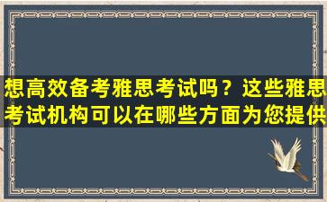 想高效备考雅思考试吗？这些雅思考试机构可以在哪些方面为您提供帮助？