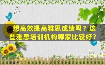 想高效提高雅思成绩吗？这些雅思培训机构哪家比较好？