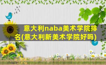 意大利naba美术学院排名(意大利新美术学院好吗)