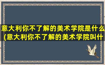 意大利你不了解的美术学院是什么(意大利你不了解的美术学院叫什么)