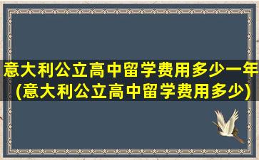 意大利公立高中留学费用多少一年(意大利公立高中留学费用多少)