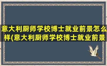 意大利厨师学校博士就业前景怎么样(意大利厨师学校博士就业前景分析)