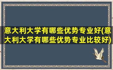 意大利大学有哪些优势专业好(意大利大学有哪些优势专业比较好)