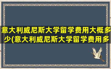 意大利威尼斯大学留学费用大概多少(意大利威尼斯大学留学费用多少钱)