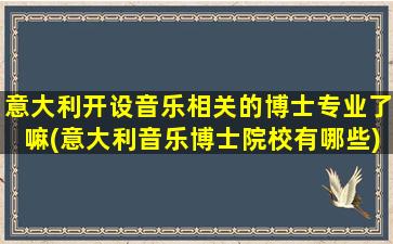 意大利开设音乐相关的博士专业了嘛(意大利音乐博士院校有哪些)