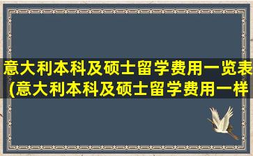 意大利本科及硕士留学费用一览表(意大利本科及硕士留学费用一样吗)