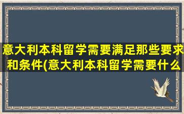 意大利本科留学需要满足那些要求和条件(意大利本科留学需要什么条件)