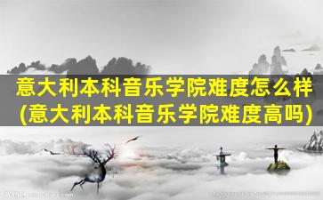 意大利本科音乐学院难度怎么样(意大利本科音乐学院难度高吗)