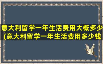 意大利留学一年生活费用大概多少(意大利留学一年生活费用多少钱)