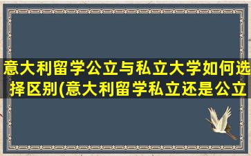 意大利留学公立与私立大学如何选择区别(意大利留学私立还是公立好)