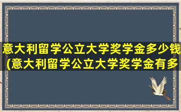 意大利留学公立大学奖学金多少钱(意大利留学公立大学奖学金有多少)