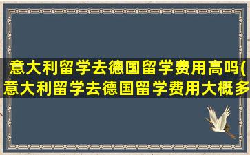 意大利留学去德国留学费用高吗(意大利留学去德国留学费用大概多少)