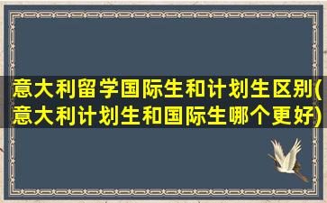 意大利留学国际生和计划生区别(意大利计划生和国际生哪个更好)