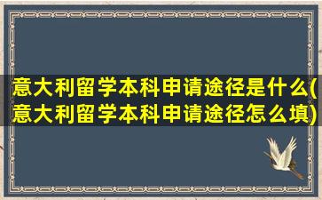 意大利留学本科申请途径是什么(意大利留学本科申请途径怎么填)