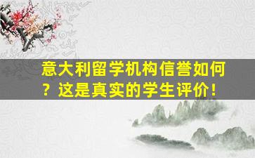 意大利留学机构信誉如何？这是真实的学生评价！