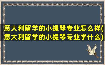 意大利留学的小提琴专业怎么样(意大利留学的小提琴专业学什么)