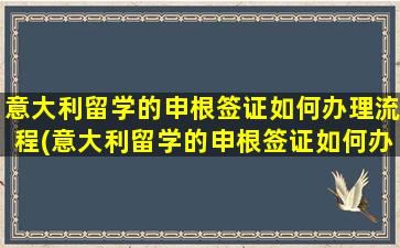 意大利留学的申根签证如何办理流程(意大利留学的申根签证如何办理)