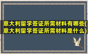 意大利留学签证所需材料有哪些(意大利留学签证所需材料是什么)