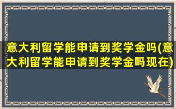 意大利留学能申请到奖学金吗(意大利留学能申请到奖学金吗现在)