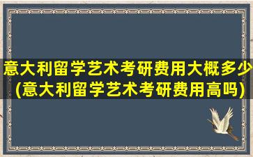 意大利留学艺术考研费用大概多少(意大利留学艺术考研费用高吗)