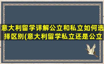 意大利留学详解公立和私立如何选择区别(意大利留学私立还是公立好)