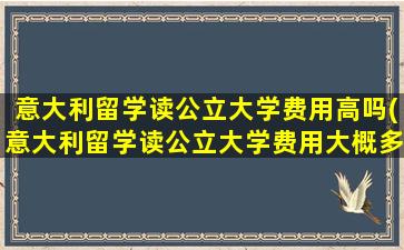 意大利留学读公立大学费用高吗(意大利留学读公立大学费用大概多少)