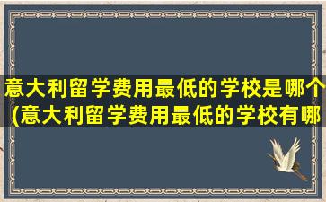 意大利留学费用最低的学校是哪个(意大利留学费用最低的学校有哪些)