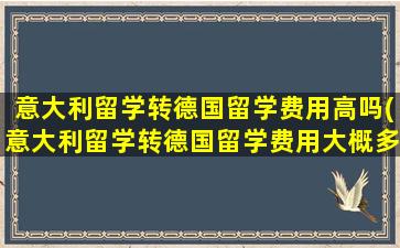 意大利留学转德国留学费用高吗(意大利留学转德国留学费用大概多少)